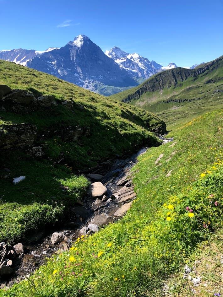 Somewhere up in the Bernese Highlands near First