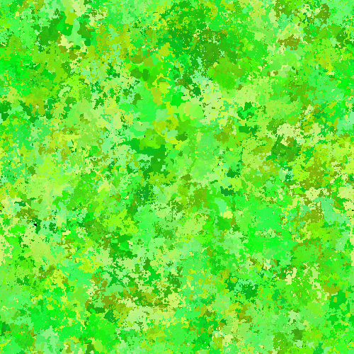 Forest Glade