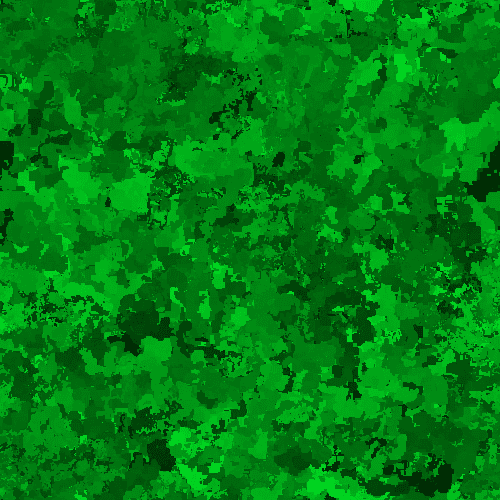 Night Vision