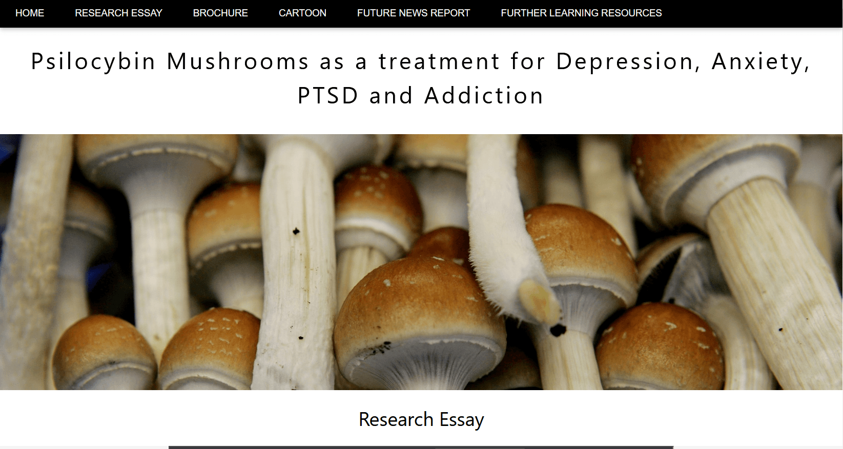 A website full of information about psychedelic therapy!